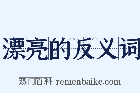 漂亮的反义词是什么意思的图片